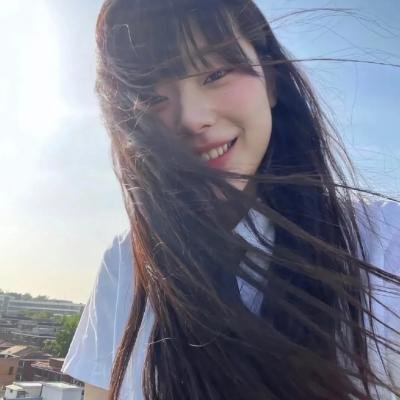 出墙花封面